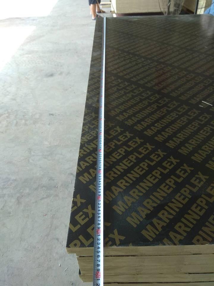 18mm Film Faced Plywood Factory in China