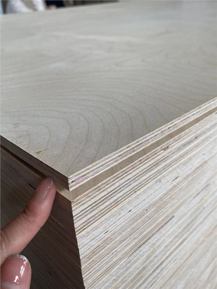 Bintangor Plywood Construction Poplar ไม้อัดสักทุกขนาดและความหนา