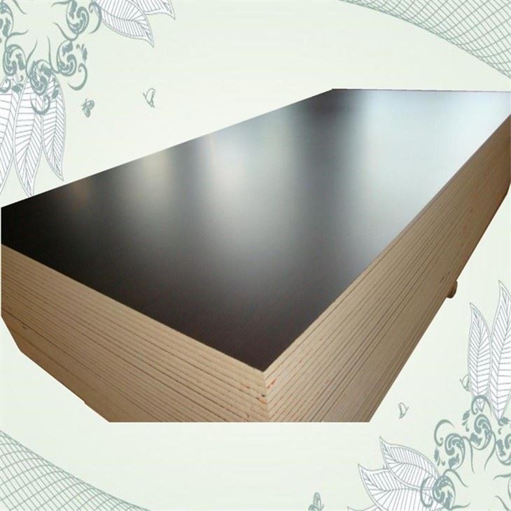 Xingang Film Faced Plywood Birch Plywood For Construction