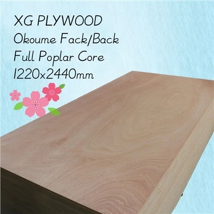 พาณิชย์ไม้อัดเฟอร์นิเจอร์ Board China Local Poplar Core