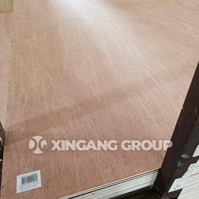Bing Tanger Plywood 20250209