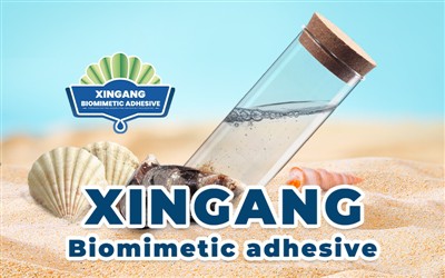 กาว Xingang Biomimetic