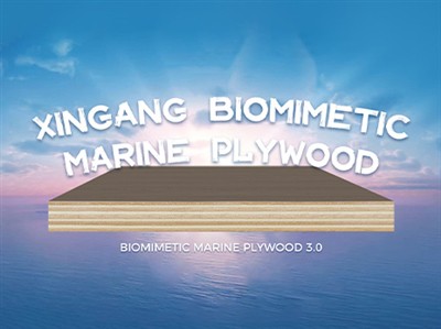 Xingang Biomimetic Marine Marine Marine: การปฏิวัติโซลูชั่นพื้นผิวที่ทนทานและ...